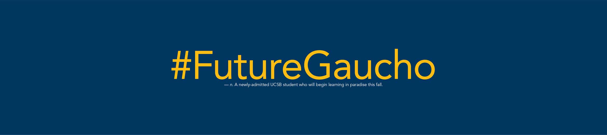future gaucho design