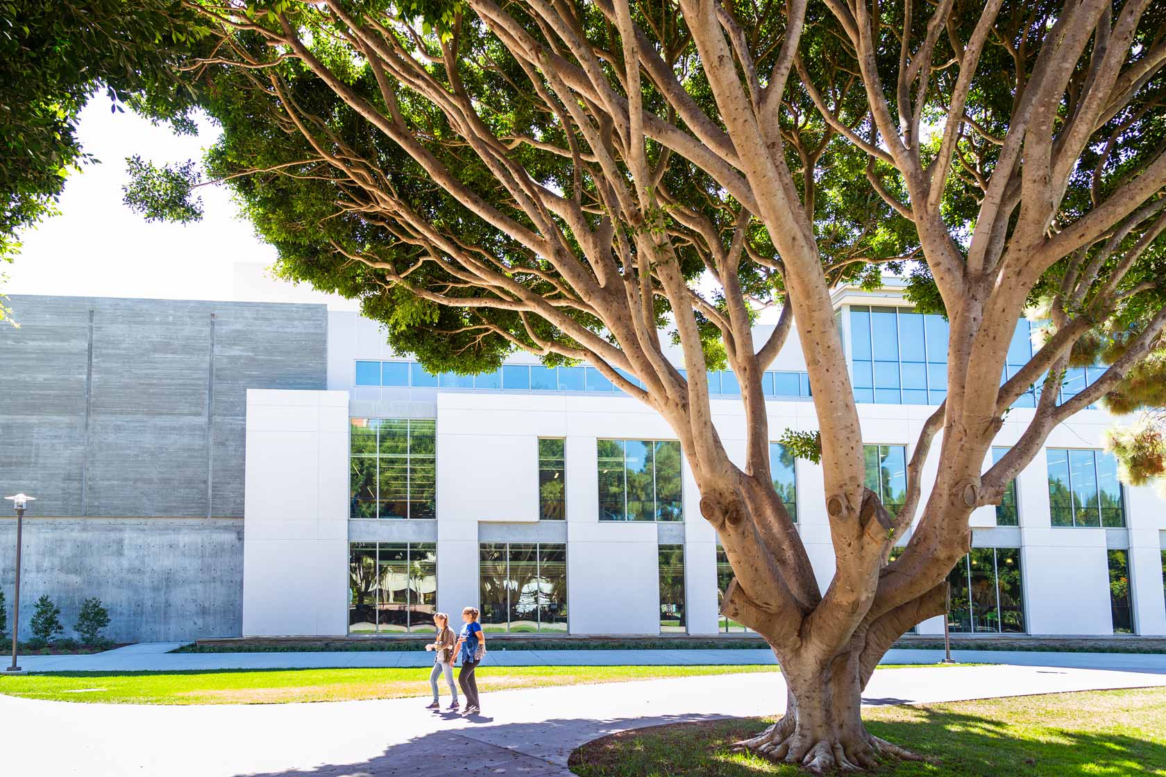 students walking near library